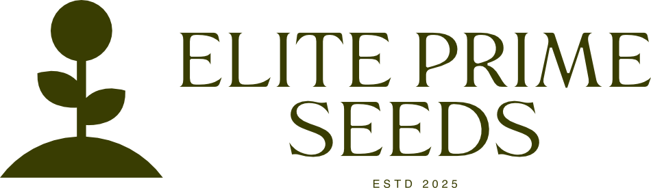 Elit Prime Seed